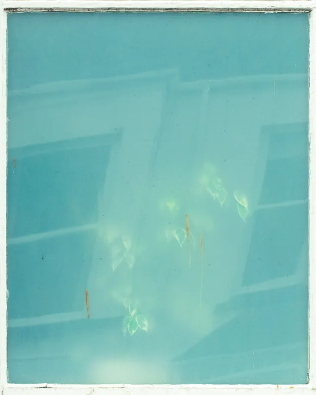 Art college window, Falmouth. 2021.